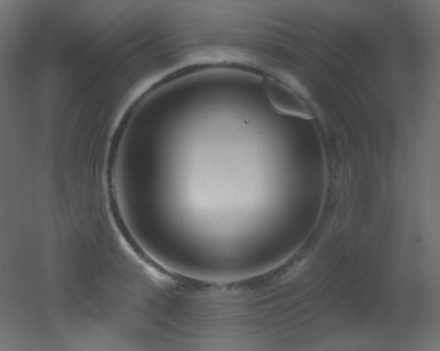 X0000053160943200507111504