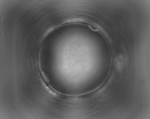 X0000053160945200507111504