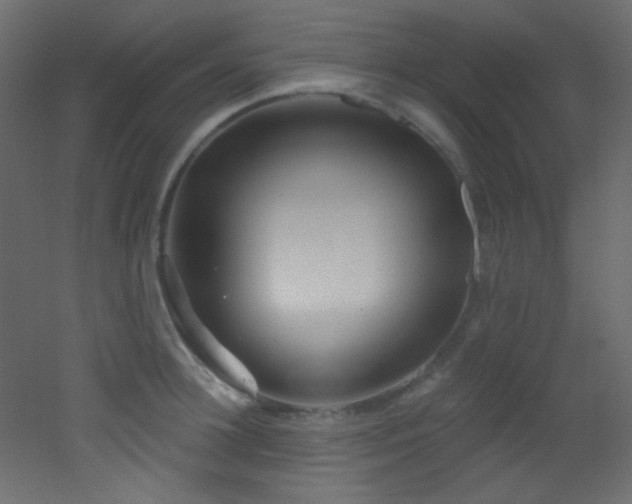 X0000053160948200507111504