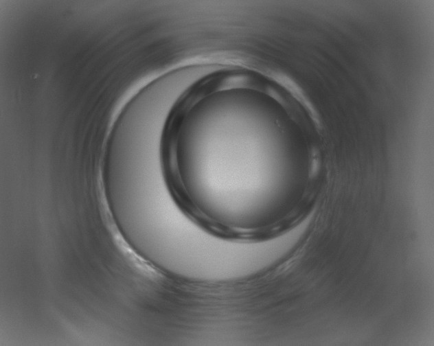 X0000053160952200507111504