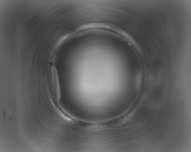 X0000053160953200507111504