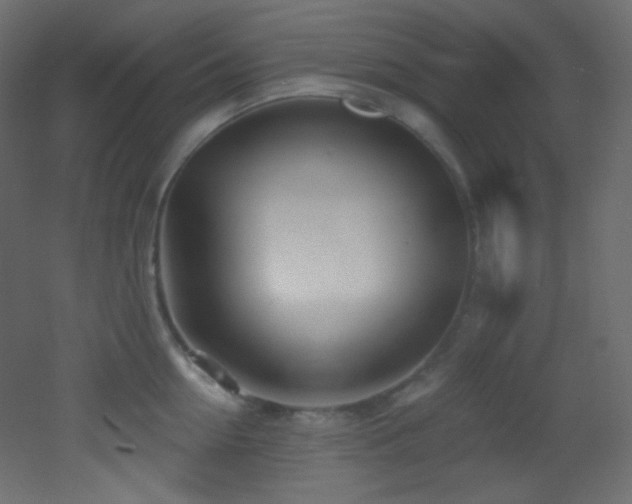 X0000053160954200507111504