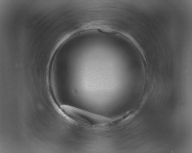 X0000053160957200507111504