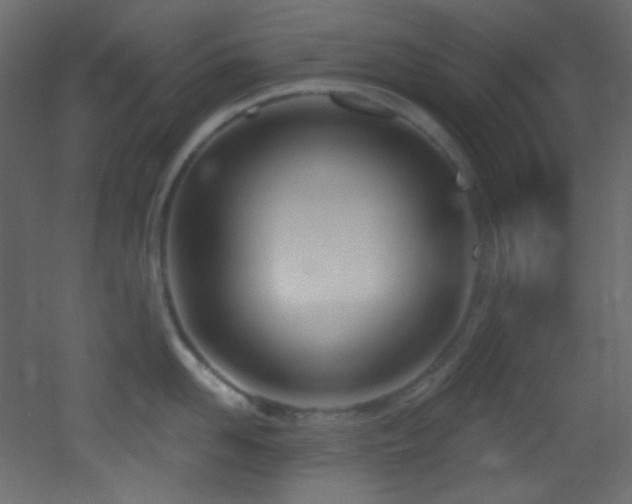 X0000053160958200507111504