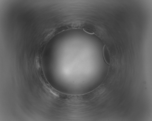 X0000053160962200507111503
