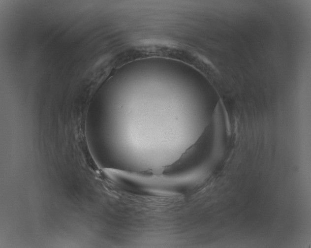 X0000053160965200507111503