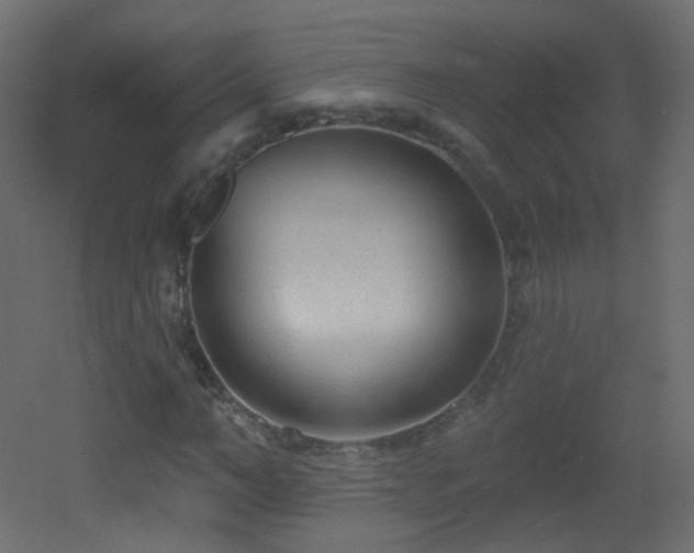 X0000053160966200507111503