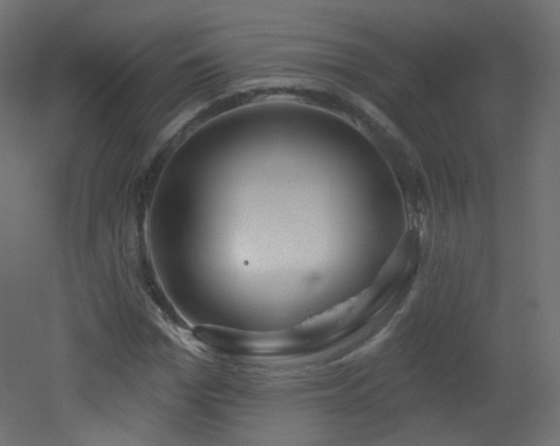 X0000053160969200507111503