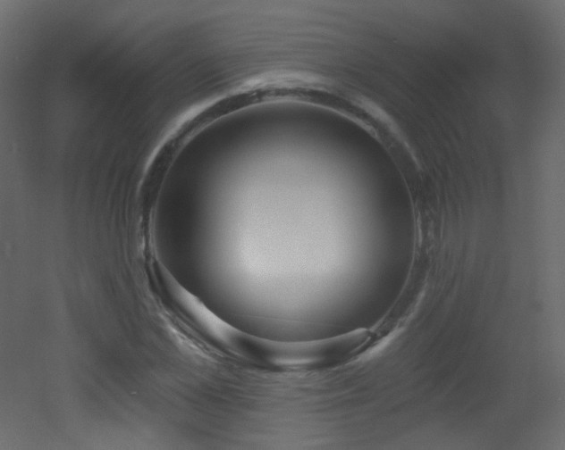 X0000053160973200507111503