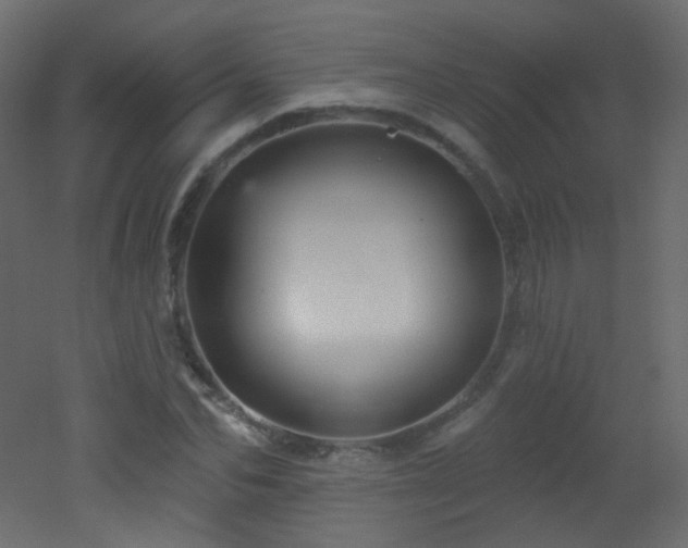 X0000053160974200507111503
