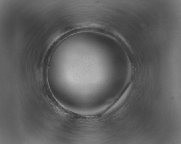 X0000053160975200507111503