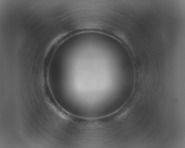 X0000053160979200507111503