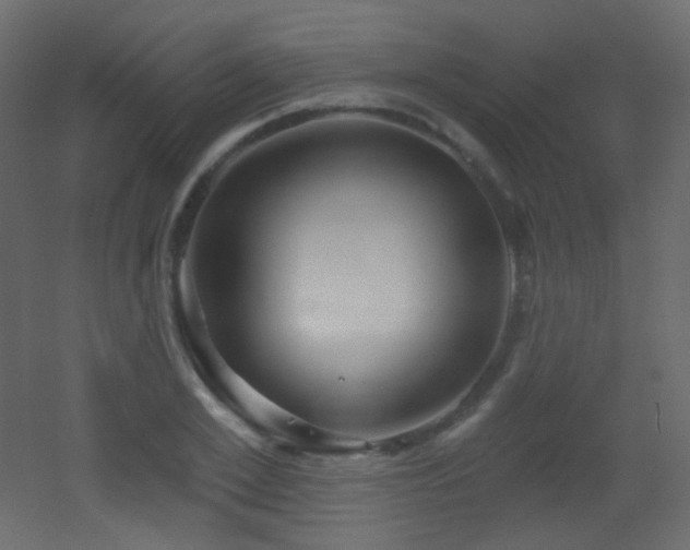 X0000053160981200507111503