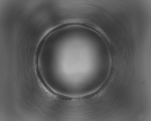 X0000053160983200507111503