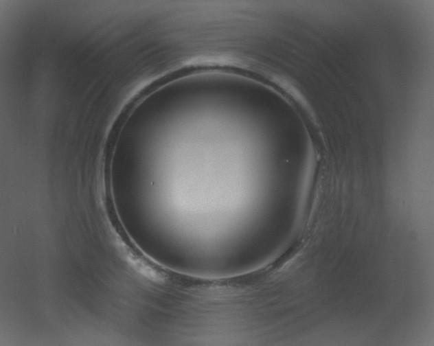 X0000053160984200507111503