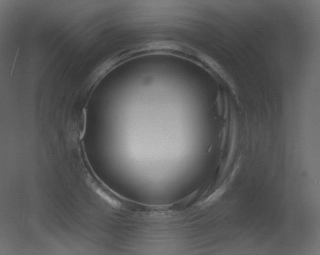 X0000053160985200507111503