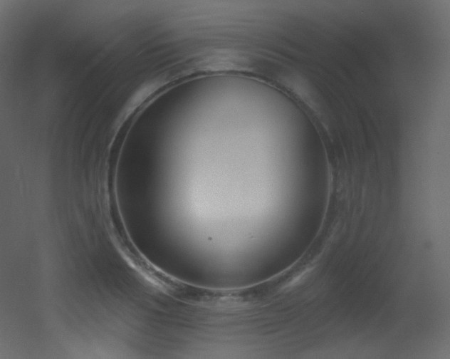 X0000053160986200507111503