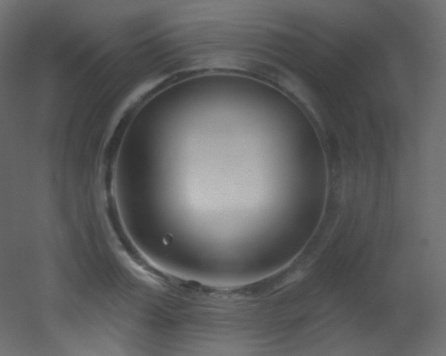 X0000053160987200507111503