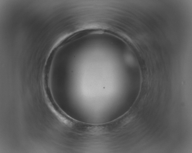 X0000053160991200507111502