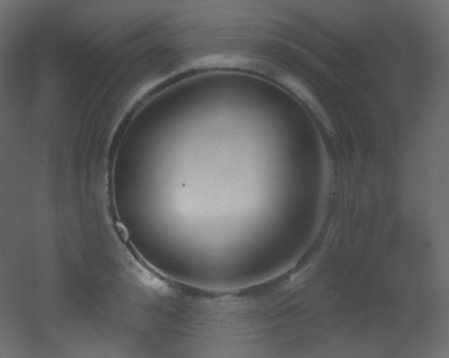 X0000053160992200507111502
