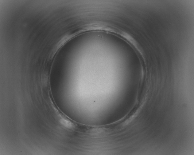 X0000053160993200507111502