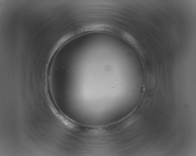 X0000053160994200507111502
