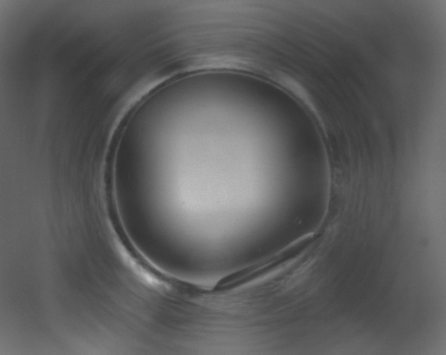 X0000053160995200507111502