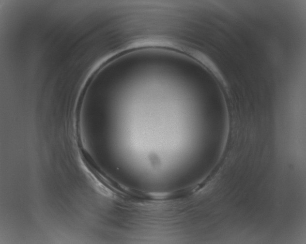 X0000053160996200507111502
