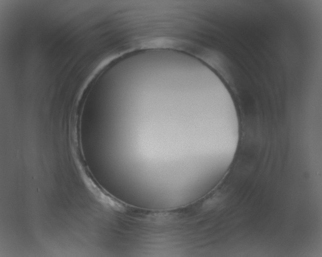 X0000053161000200507111502