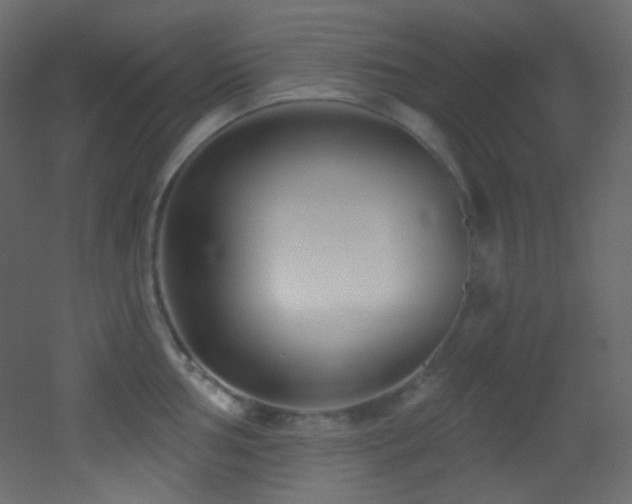 X0000053161002200507111502