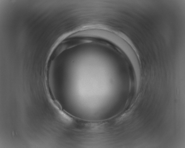 X0000053161005200507111502