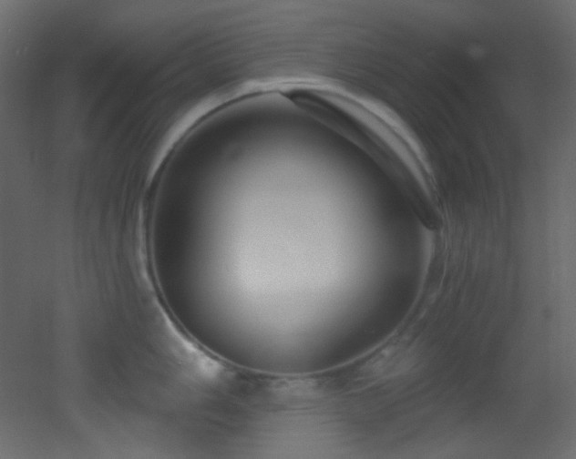X0000053161006200507111502