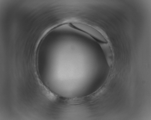 X0000053161008200507111502