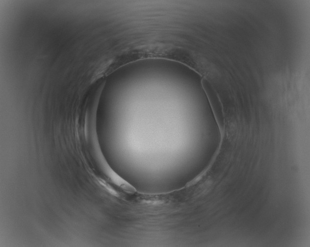 X0000053161010200507111501
