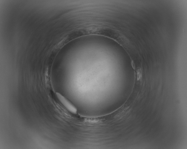 X0000053161011200507111501