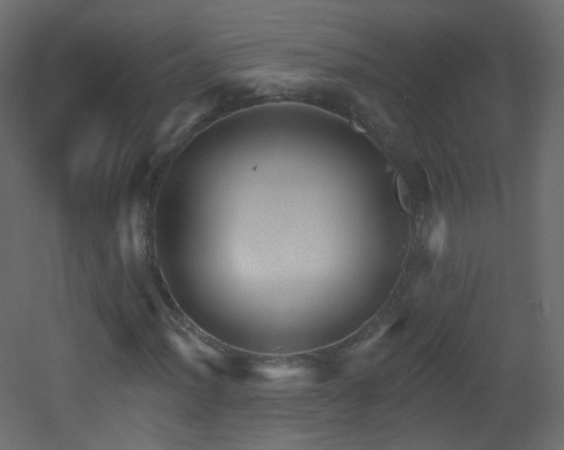 X0000053161012200507111501