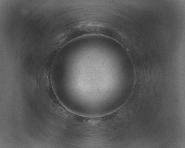 X0000053161013200507111501