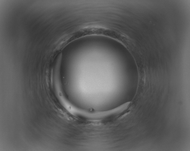 X0000053161014200507111501