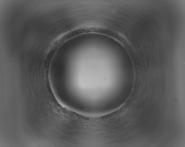 X0000053161016200507111501