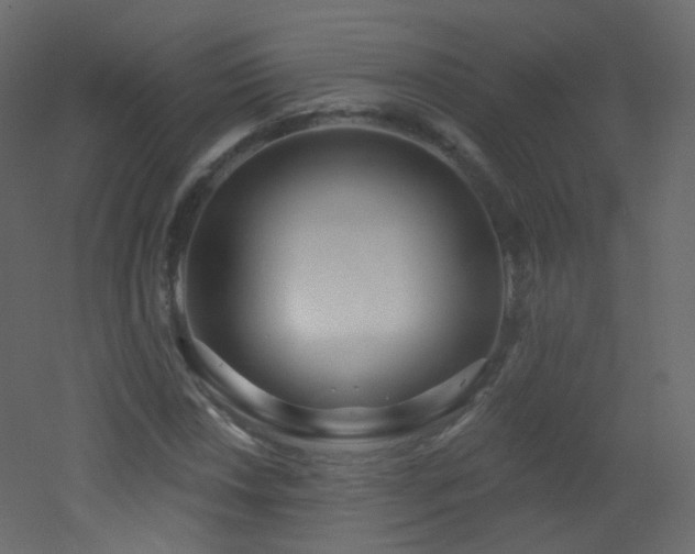 X0000053161018200507111502