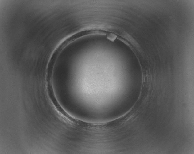 X0000053161020200507111502