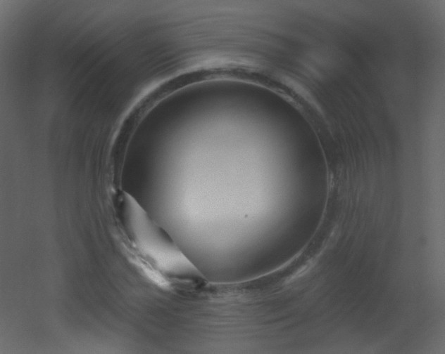 X0000053161021200507111502
