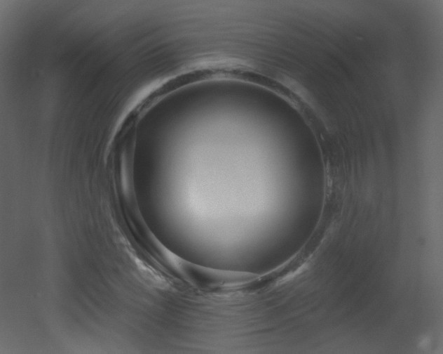 X0000053161022200507111502