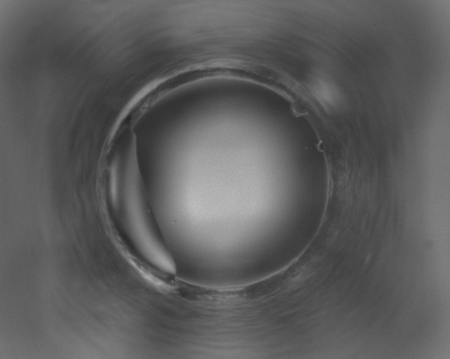 X0000053161024200507111502