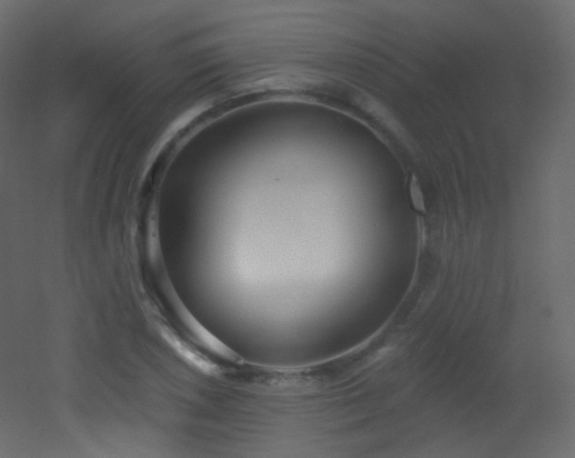 X0000053161026200507111502