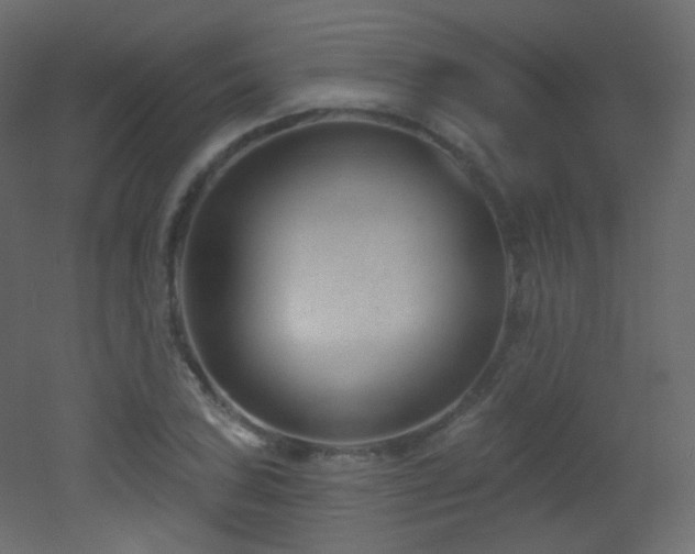 X0000053161027200507111502