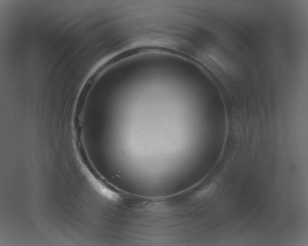 X0000053161028200507111502