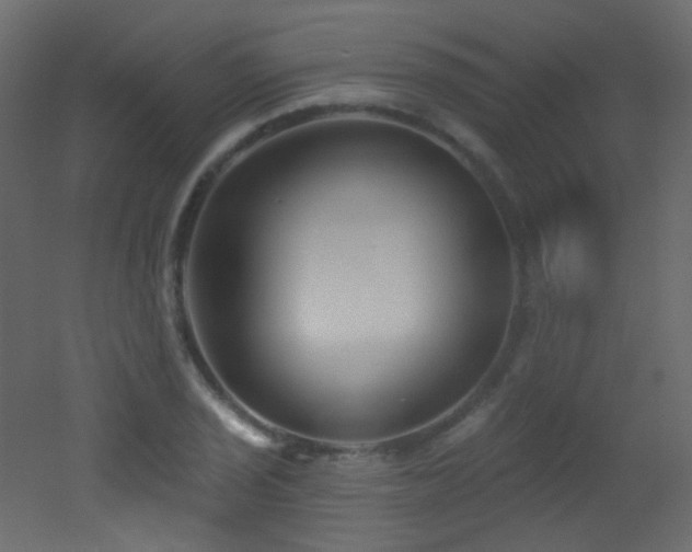 X0000053161029200507111502