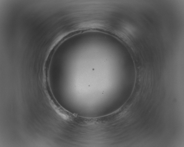 X0000053161031200507111502