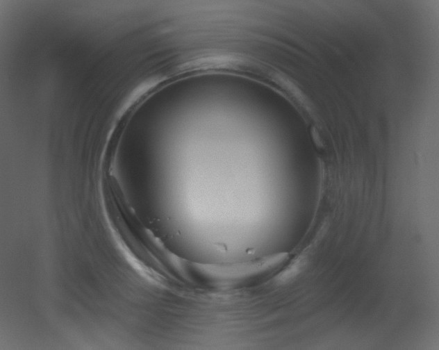 X0000053161034200507111502